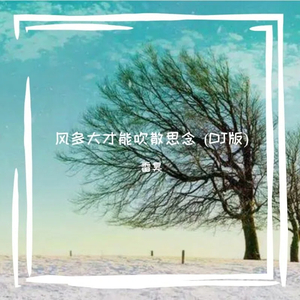 风多大才能吹散思念 (DJ版)