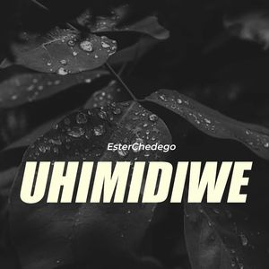 Uhimidiwe