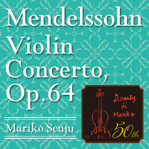 Violin Concerto in E Minor, Op. 64:I. Allegro molto appassionato