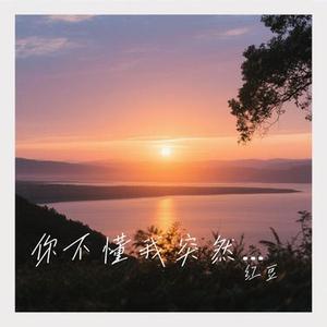 你不懂我突然的沉默 (Cover 田园)
