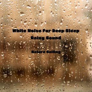 평온함을 위한 빗소리