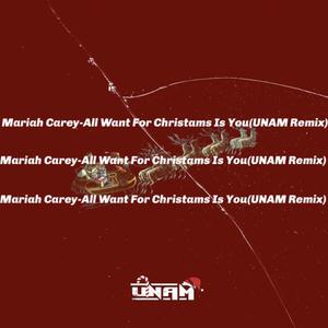 Mariah Carey-All WantForChristamsIsYou(UNAM Remix)