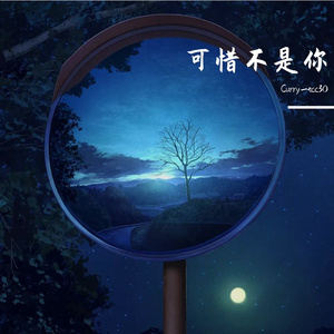 可惜不是你（吉他版）