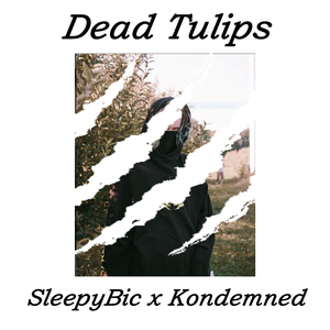 Dead Tulips