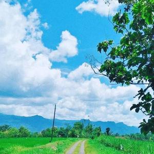 她很孤独_冠名kk