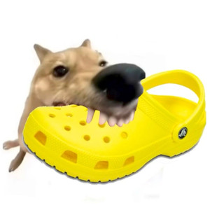 Croc