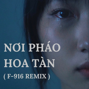Nơi Pháo Hoa Tàn (F-916 Remix)