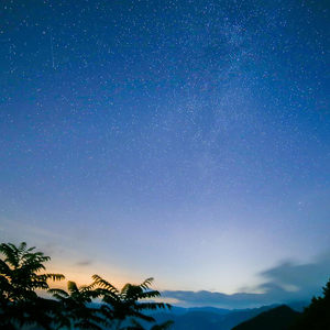 玫瑰花园 (睡觉催眠曲)