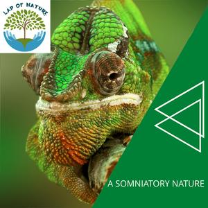 Watching In Mother Natures Eyes