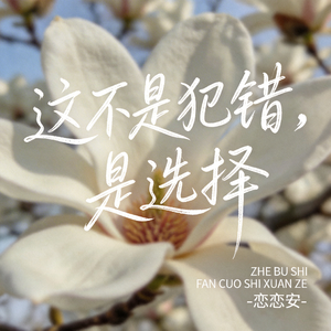 这不是犯错，是选择（原版）