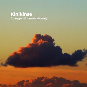 Kinikinse