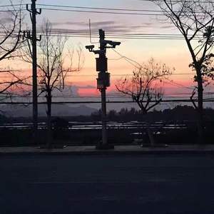 艳