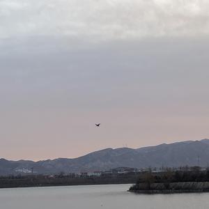 世界末日（吉他弹唱）