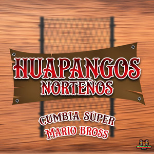 Botas Picudas