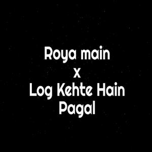 Roya Main X Log Kehte Hain Pagal