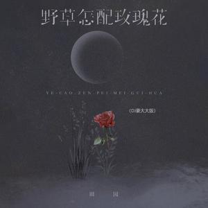 野草怎配玫瑰花 (DJ豪大大版)