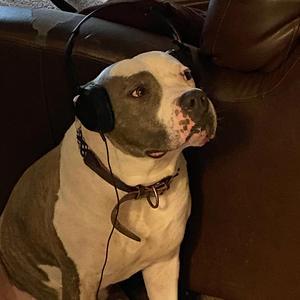 The right lovers, just the wong time