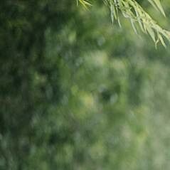 美丽的漩涡-整曲 伴奏