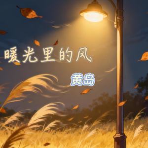 暖光里的风