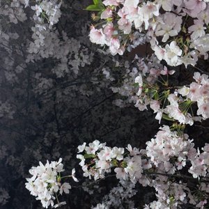 宁静夜晚