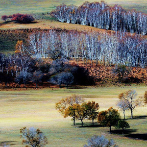 一边落泪一边摇