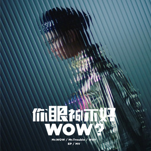 Mr.Trouble麻烦先生 -你眼神不好 WOW？（空白君Max / 零度空白 remix）