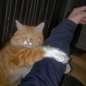 情迷索多玛（cover梁翘柏）