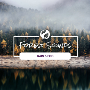 Rain & Fog