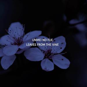 Leaves from the Vine (From “Avatar: The Last Airbender”) (Flute Version)