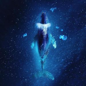 喜欢你-邹俊健（翻自 陈洁仪）