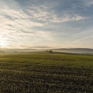 看见你我的心醉了
