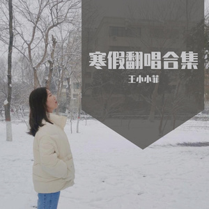 我不是你的宋冬野