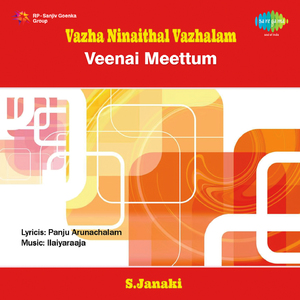 Veenai Meettum