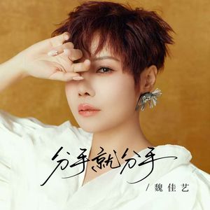 分手就分手（DJ京仔版）