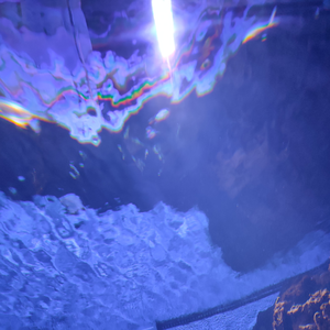 我所有的夜有所梦里