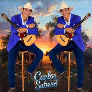 Destructora de Ilusiones