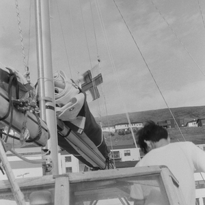 불이 붙은 나무