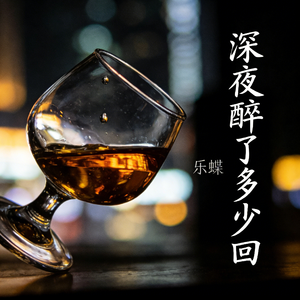 深夜醉了多少回(动情版)