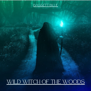 Wild Witch of the Woods