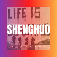 生活才会要我的命 (枪声版)