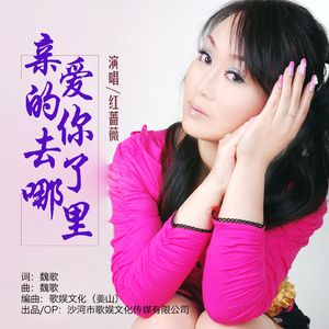 亲爱的你去了哪里（伴奏）