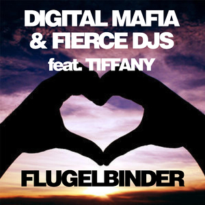 Flugelbinder (Original Mix)