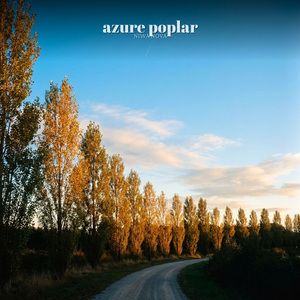 Azure Poplar