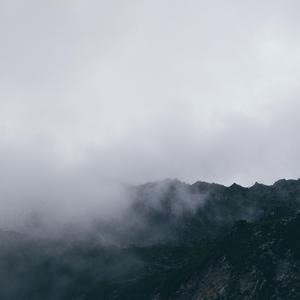 [Free]fog