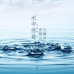 当一阵风吹来风筝飞上天空