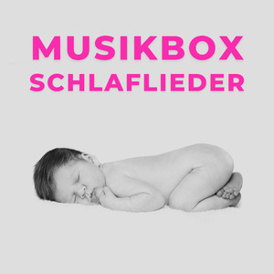 Schlafende Hasen (Musikbox)