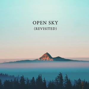 Open Sky (Revisited)