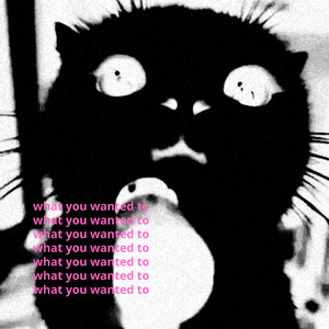 what you wanted to