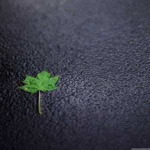 You never left(钢琴曲）