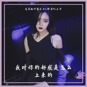 春娇与志明 (DJ旋律版)